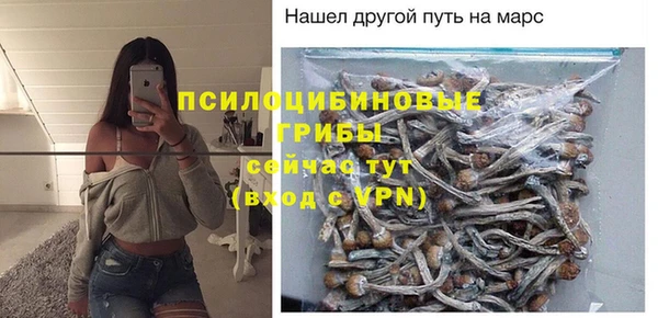 таблы Бородино