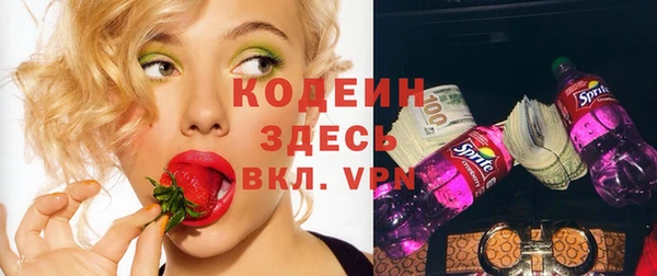 таблы Бородино